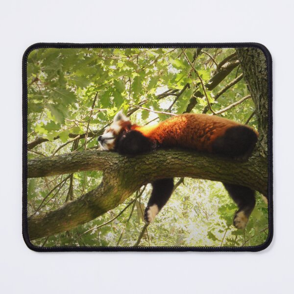 Item preview, Sleepy Red Panda designed and sold by Sticky Oak.