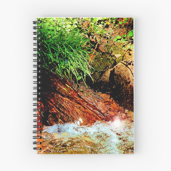 Item preview, Small Stream Tributary in a Wooded Area designed and sold by AMacGPhilly.