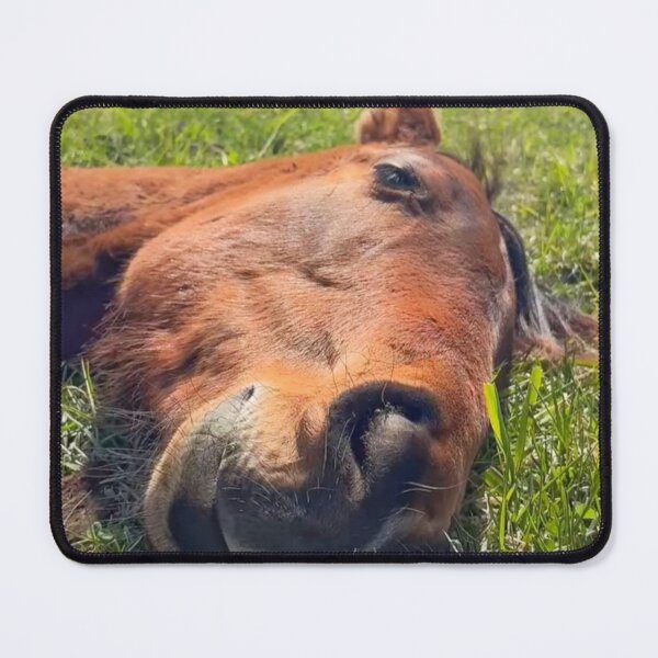 Item preview, Cute horse sleeping. designed and sold by Ameliatra Design.