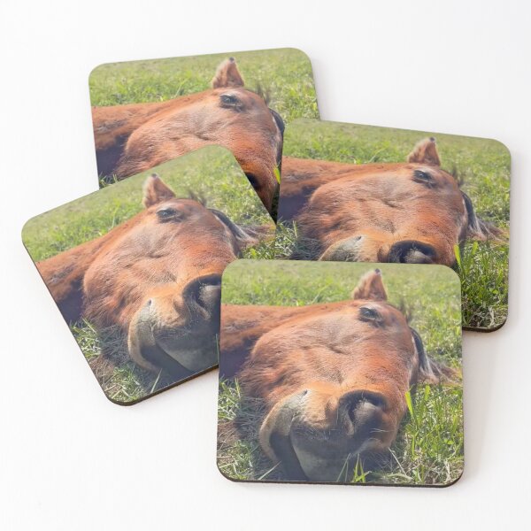 Item preview, Cute horse sleeping. designed and sold by Ameliatra Design.