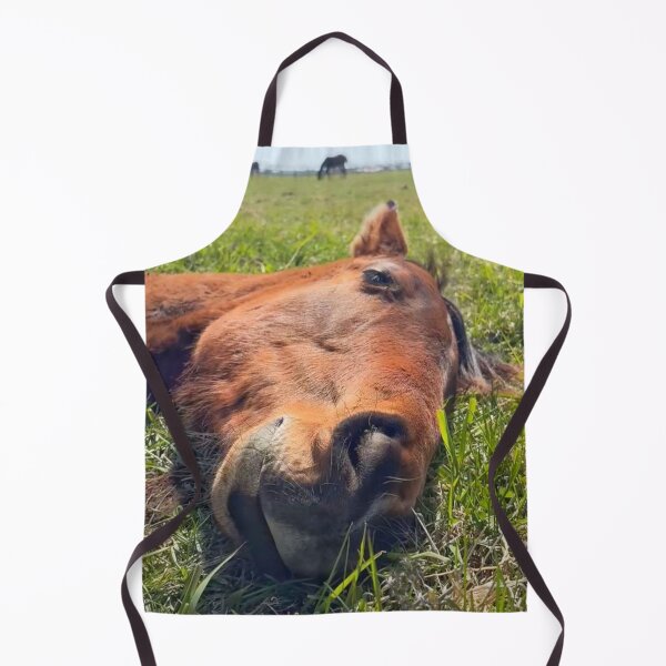 Item preview, Cute horse sleeping. designed and sold by Ameliatra Design.