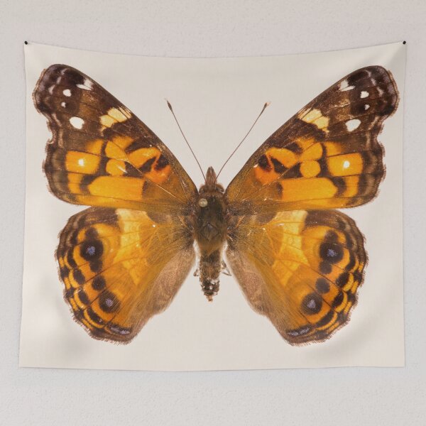 Item preview, american painted lady butterfly designed and sold by onnaleigh.