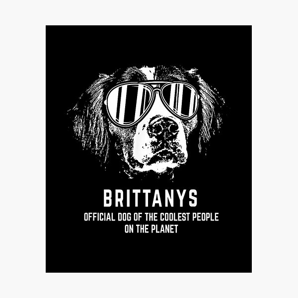 Item preview, Brittany Spaniel designed and sold by goombi-creative.