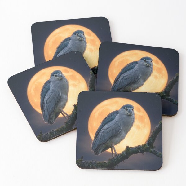 Item preview, Night Heron Under a Full Moon designed and sold by Tridentulus.