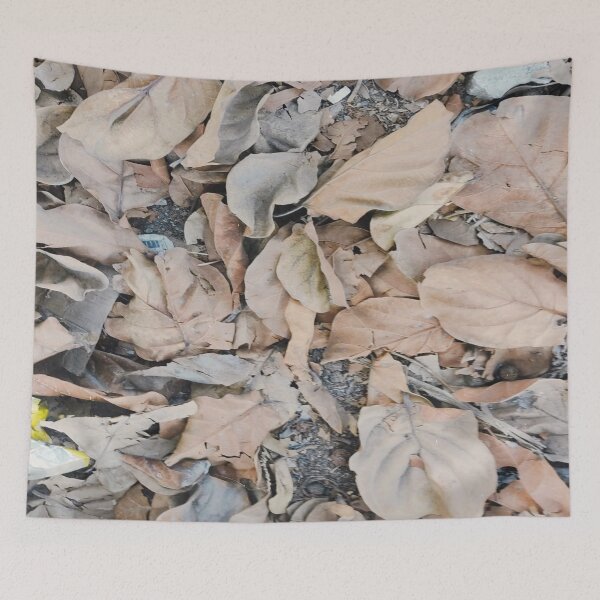 Item preview, Randomly leafs on the ground. designed and sold by DaliaSabryTee.
