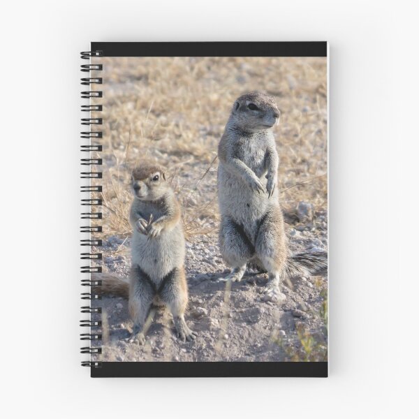Item preview, Squirrels. designed and sold by Anne Scantlebury.