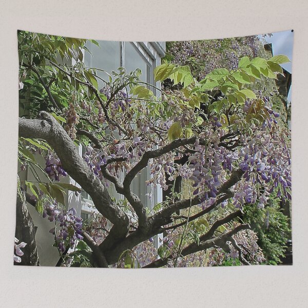 Item preview, Wisteria Hysteria designed and sold by Murph's Images.