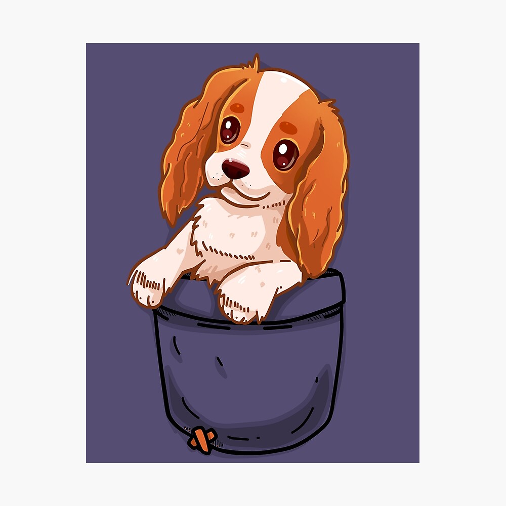 Poster Pocket Chien Cavalier King Charles Spaniel Par Techranova Redbubble