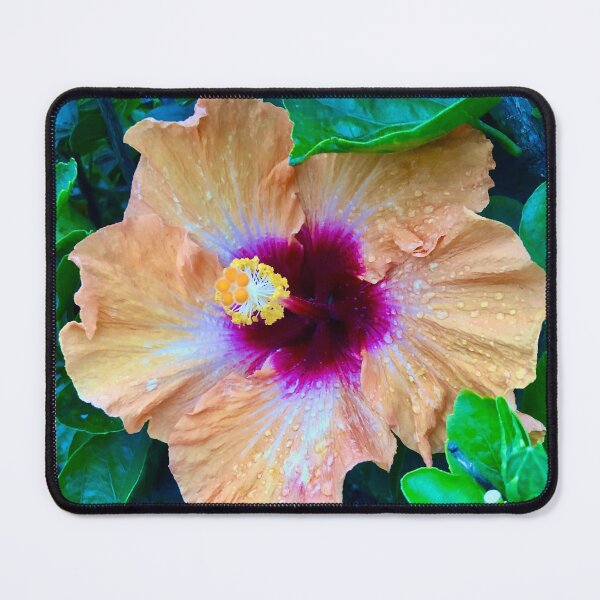 Item preview, Raindrops on a Hibiscus designed and sold by Hoppípolla Lass.