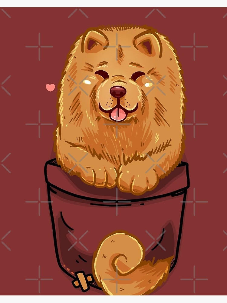 pocket chow chow