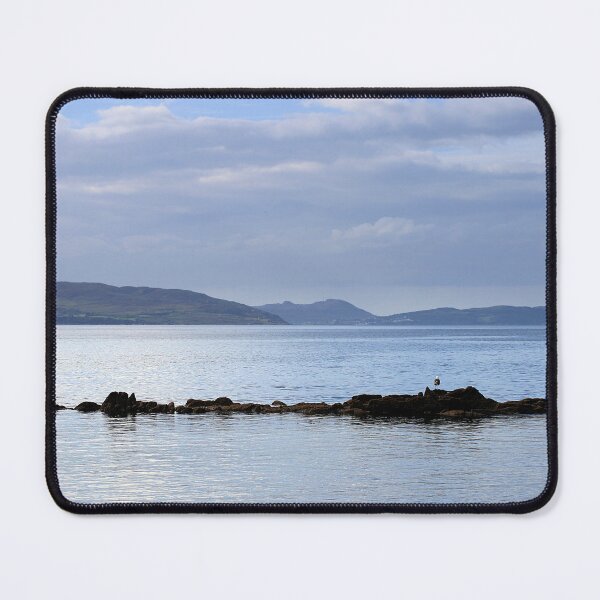 Item preview, lone gull designed and sold by Murph's Images.