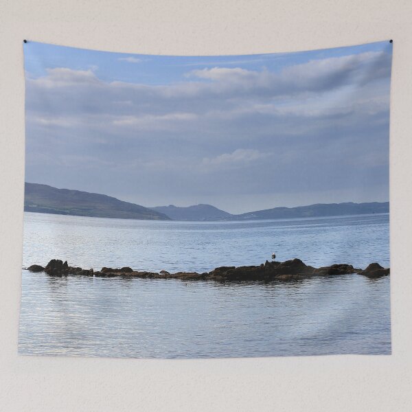 Item preview, lone gull designed and sold by Murph's Images.