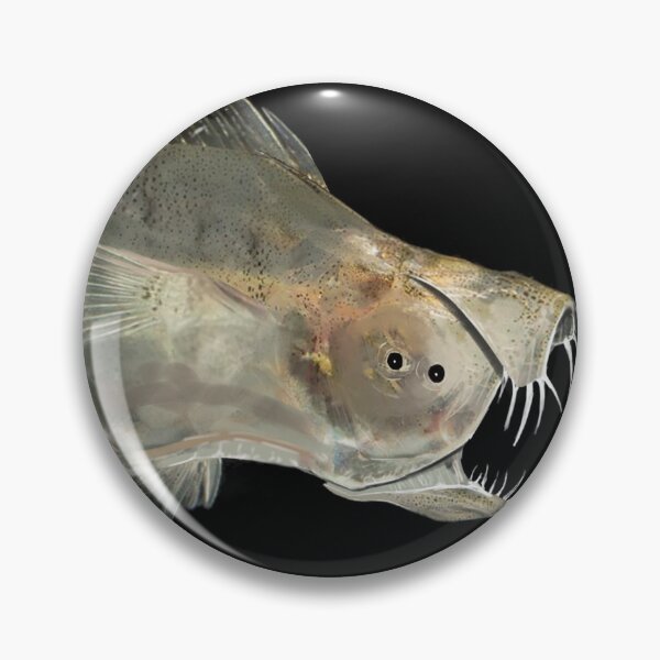 Item preview, Concept art - Strange Fish designed and sold by DanPudArt - Art & Graphics.