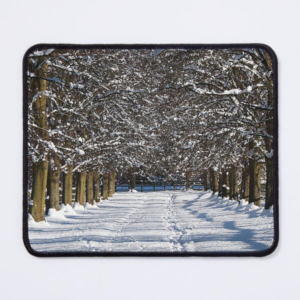 Item preview, Christmas Sunshine designed and sold by Murph's Images.