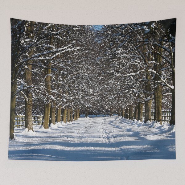 Item preview, Christmas Sunshine designed and sold by Murph's Images.