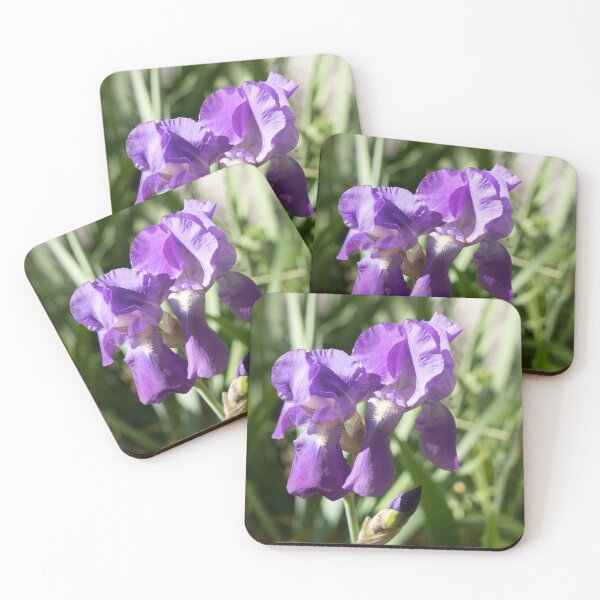 Item preview, Sunlit Iris Blooms Family designed and sold by Georgia Mizuleva.