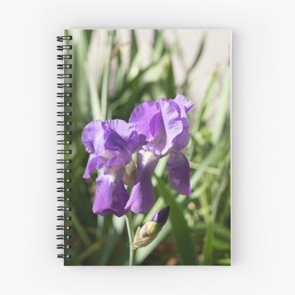 Item preview, Sunlit Iris Blooms Family designed and sold by Georgia Mizuleva.