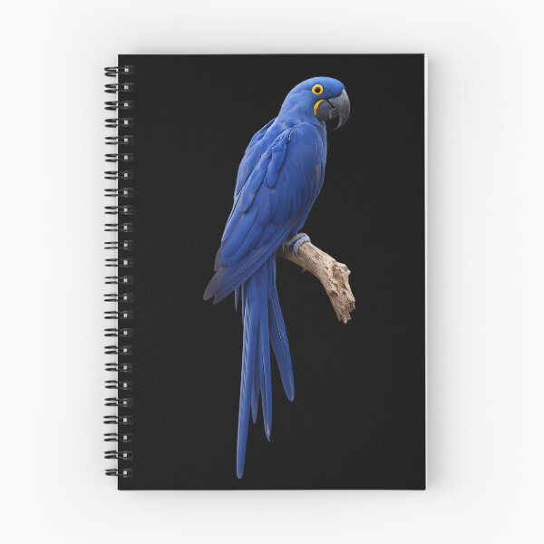 Item preview, Hyacinth Macaw – Realistic Wildlife Illustration designed and sold by KI-Kunstwerk.