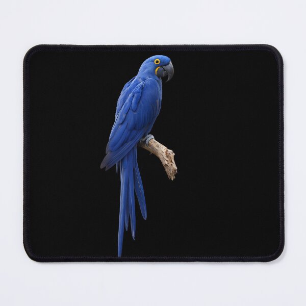 Item preview, Hyacinth Macaw – Realistic Wildlife Illustration designed and sold by KI-Kunstwerk.