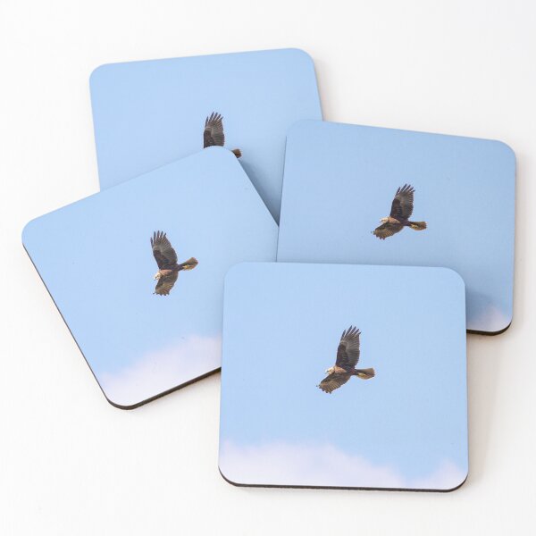 Item preview, Marsh Harrier designed and sold by Ralph Goldsmith.