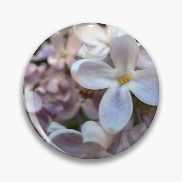 Item preview, A single bloom standing out designed and sold by Betsy Phillips.