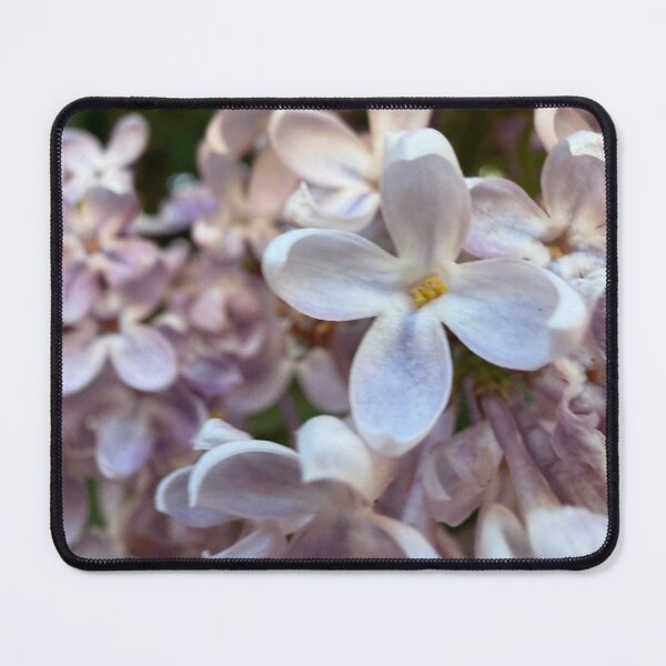 Item preview, A single bloom standing out designed and sold by Betsy Phillips.