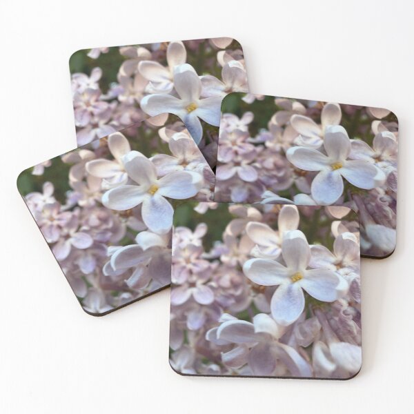 Item preview, A single bloom standing out designed and sold by Betsy Phillips.