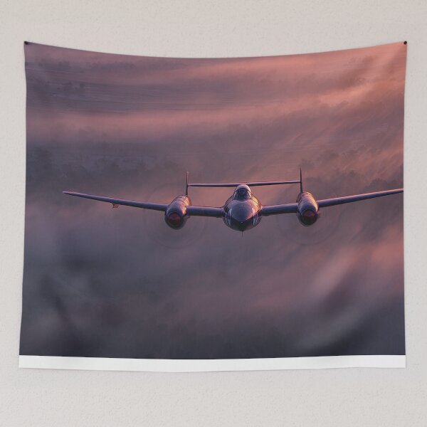 Item preview, The TwinBoom Specter designed and sold by Skyframe Aviation.