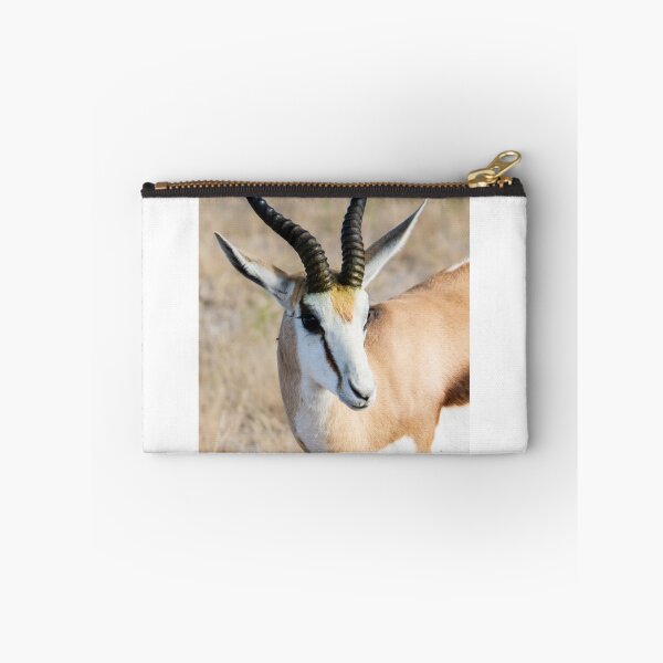 Item preview, Springbok. designed and sold by Anne Scantlebury.