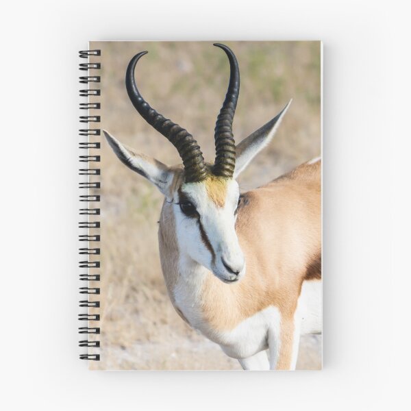 Item preview, Springbok. designed and sold by Anne Scantlebury.