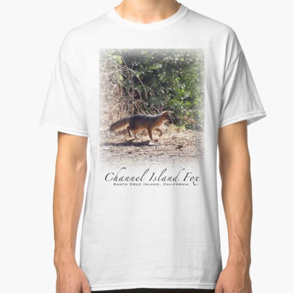 Channel Island Fox (Urocyon littoralis), Santa Cruz Island, California Classic T-Shirt