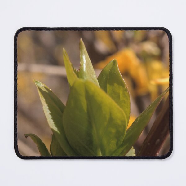 Item preview, Fresh Greenery Spring Wall Art designed and sold by vikko-art.