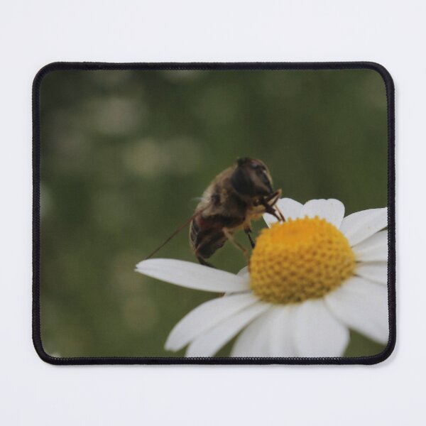 Item preview, Close-up Bee Pollinating Flower designed and sold by vikko-art.