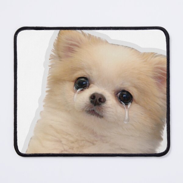 Item preview, Sad Crying Dog Meme Sticker designed and sold by MiteiArt.