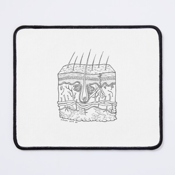 Item preview, Skin Anatomy Ink Drawing designed and sold by Studio Hromi LLC.