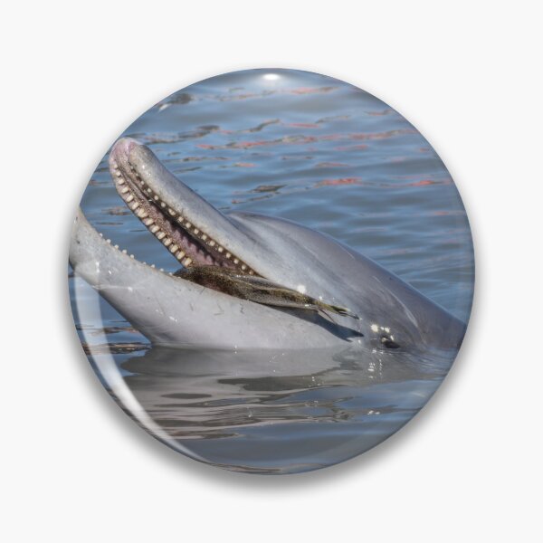 Item preview, Bottlenose Dolphin Smiling Wildlife Photography Ocean Nature Print designed and sold by WildFrameNature.