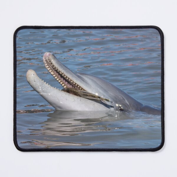 Item preview, Bottlenose Dolphin Smiling Wildlife Photography Ocean Nature Print designed and sold by WildFrameNature.