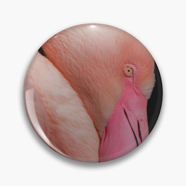 Item preview, Close-up of a pink flamingo – exotic bird photograph designed and sold by MS.photo.