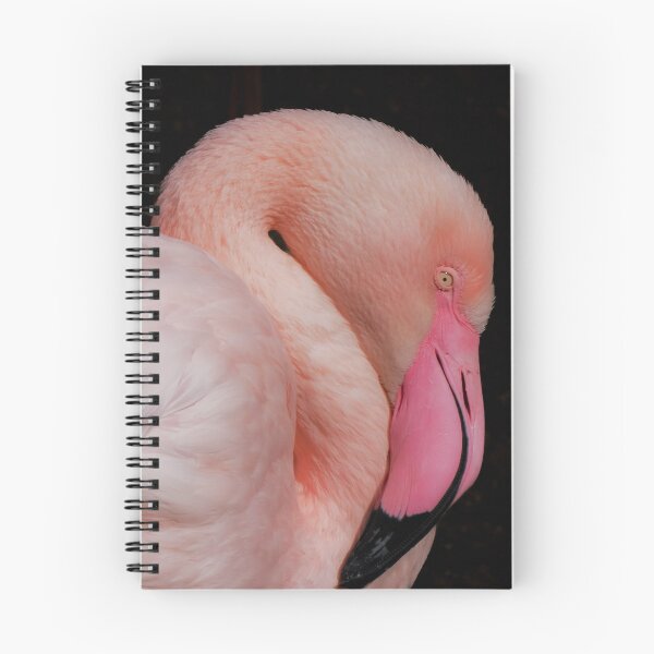 Item preview, Close-up of a pink flamingo – exotic bird photograph designed and sold by MS.photo.