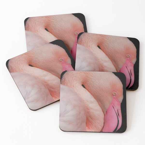 Item preview, Close-up of a pink flamingo – exotic bird photograph designed and sold by MS.photo.