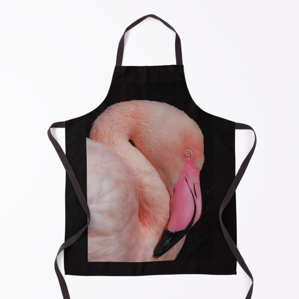 Aperçu de l'œuvre Flamant rose en plan rapproché – photographie d’oiseau exotique créée et vendue par MS.photo.