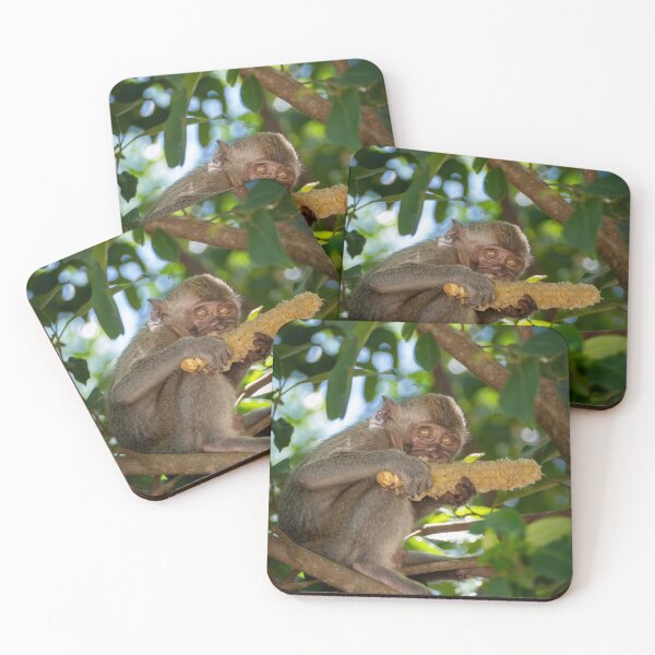 Item preview, Macaque Monkey Eating Corn Tropical Wildlife Photography Jungle Nature Print designed and sold by WildFrameNature.