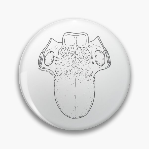 Item preview, Tongue Anatomy Ink Drawing designed and sold by Studio Hromi LLC.