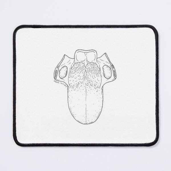 Item preview, Tongue Anatomy Ink Drawing designed and sold by Studio Hromi LLC.