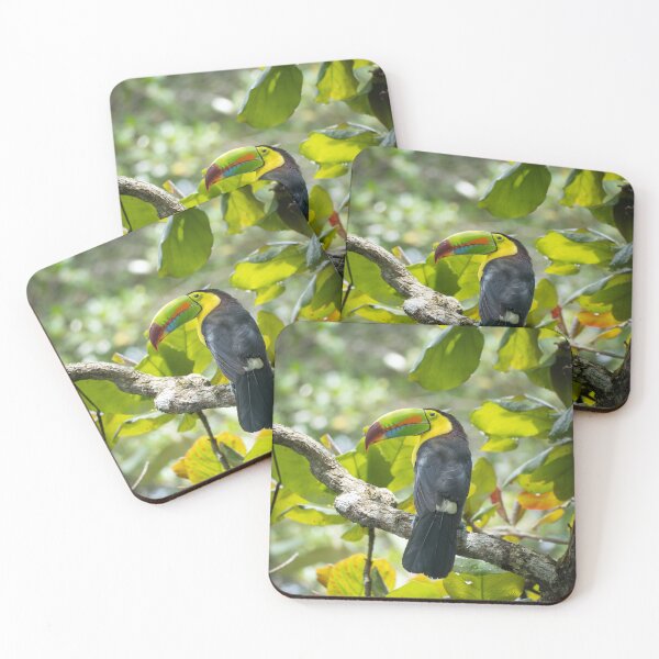 Item preview, Keel-Billed Toucan Tropical Bird Wildlife Photography Jungle Nature Print designed and sold by WildFrameNature.