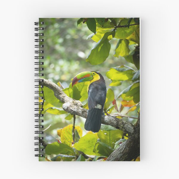Item preview, Keel-Billed Toucan Tropical Bird Wildlife Photography Jungle Nature Print designed and sold by WildFrameNature.
