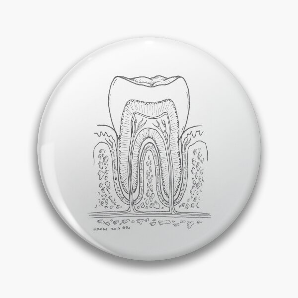 Item preview, Tooth Anatomy Ink Drawing designed and sold by Studio Hromi LLC.
