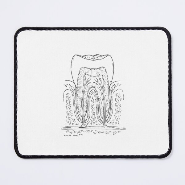 Item preview, Tooth Anatomy Ink Drawing designed and sold by Studio Hromi LLC.