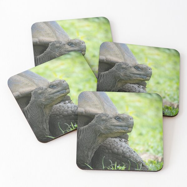 Item preview, Galapagos Giant Tortoise Close Up Wildlife Photography Nature Conservation Print designed and sold by WildFrameNature.