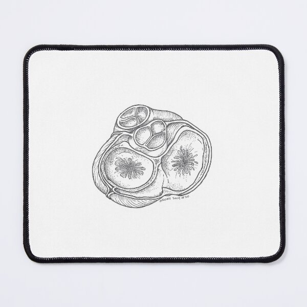 Item preview, Heart Valves Anatomy Ink Drawing designed and sold by Studio Hromi LLC.